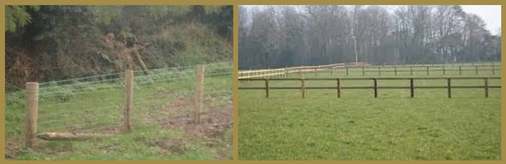 Residential fencing Meath