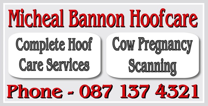 Michael Bannon Hoofcare Cavan