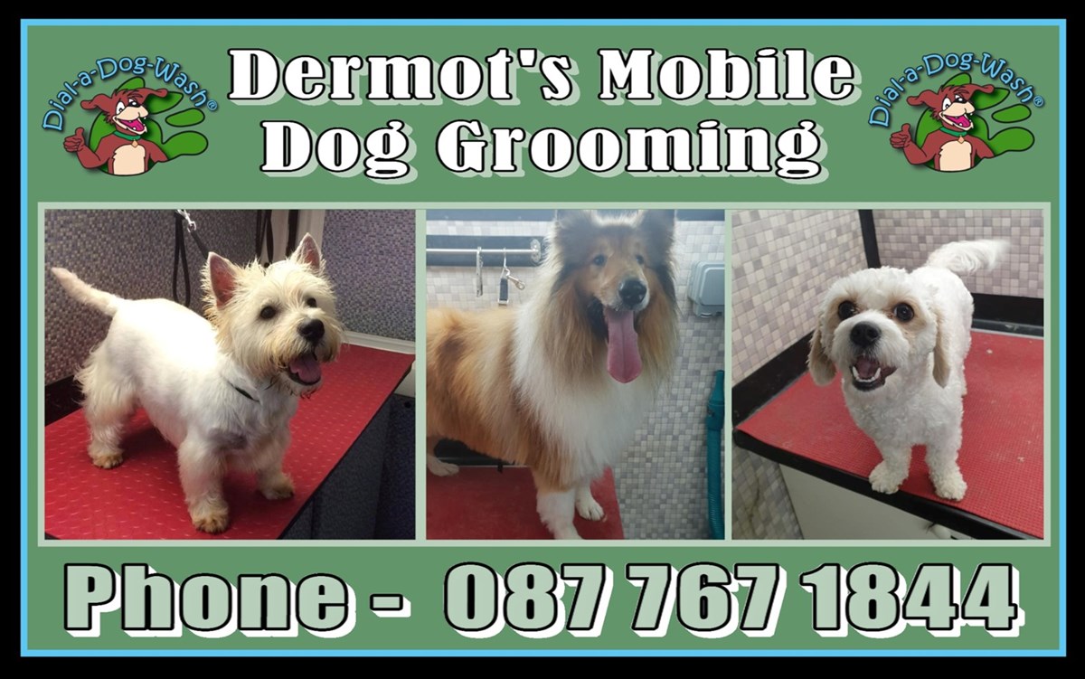 Mobile dog grooming services in Athlone - Dermot's Mobile Dog Grooming