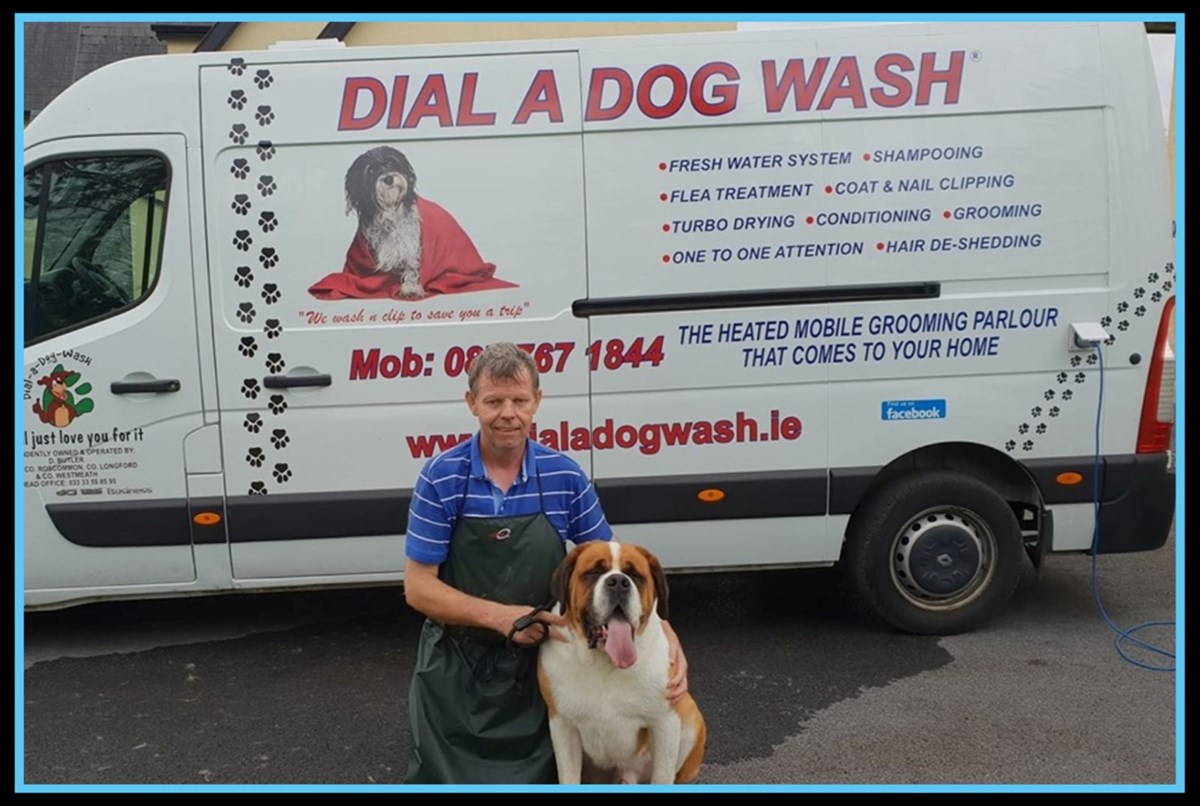 Mobile dog grooming services in Athlone - Dermot's Mobile Dog Grooming