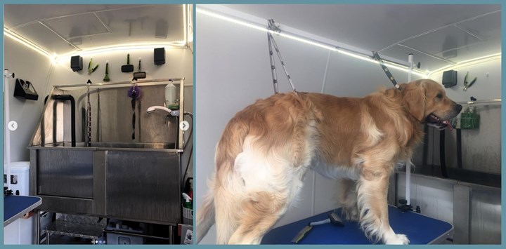 Mobile Dog treatments in Athlone are available from Groom To Improve