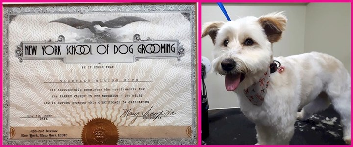 Fully qualified dog groomer Monaghan