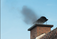 Chimney Cleaning Carrigaline