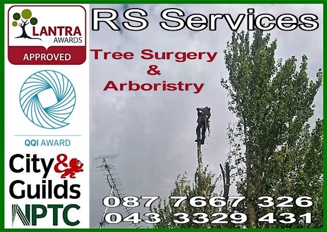 Tree Surgeon Longford, Lantra Approved Tree Surgeon in Longford