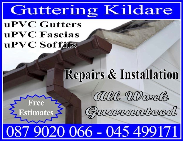 Gutter Replacements County Kildare Logo