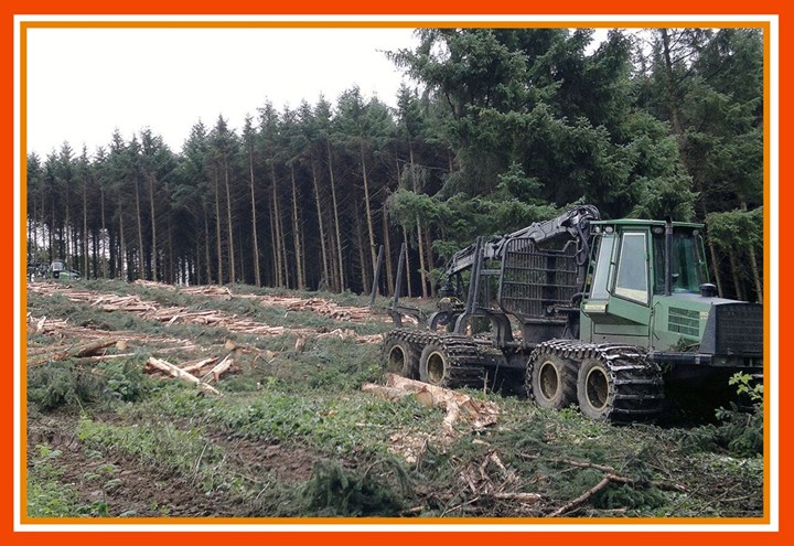 New forestry ground preparation services in Longford, Westmeath, and Roscommon - carried out by Thomas Oates Plant Hire