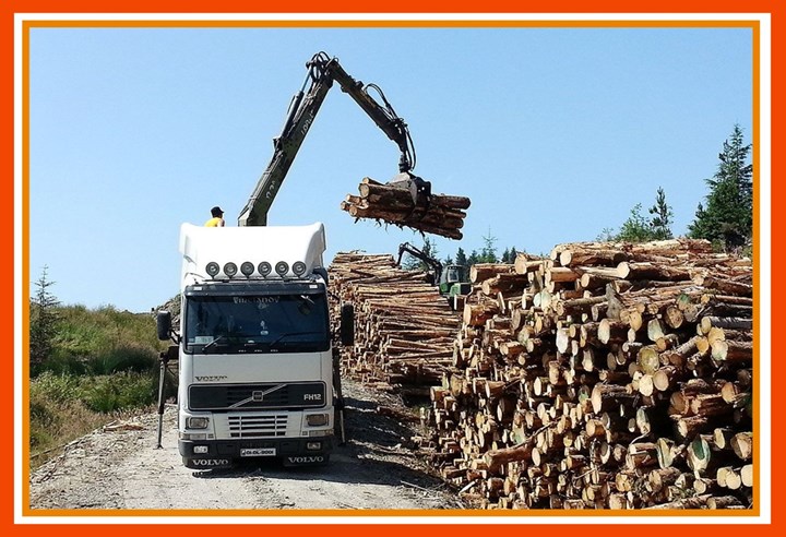 Advice on forest preparation in Longford, Westmeath, and Roscommon - provided by Thomas Oates Plant Hire