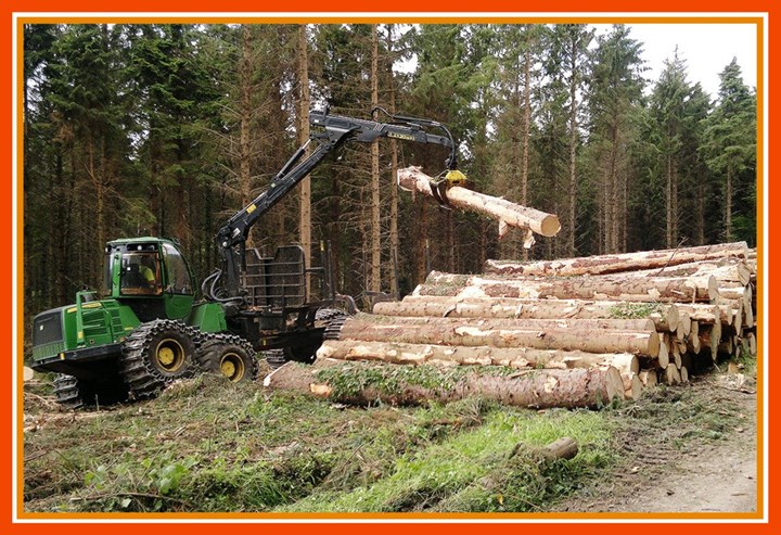 Forestry preparation services in Longford, Westmeath, and Roscommon - carried out by Thomas Oates Plant Hire