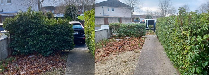 Garden clearance in West Dublin