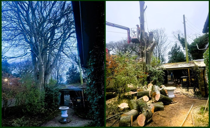 Tree removal in Clare carried out by Paul's Property Maintenance - Tree Surgeons Clare