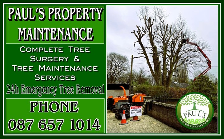 Paul's Property Maintenance - Tree Surgeons Clare