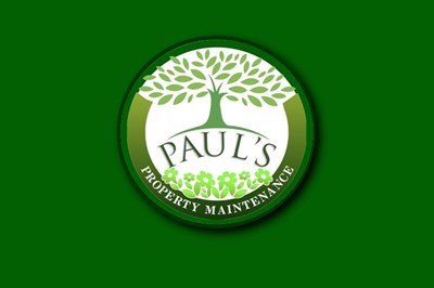 Limerick Tree Surgeons -