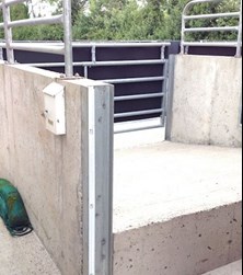 overnight livestock storage in Monaghan