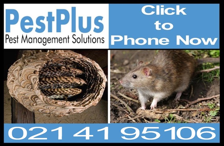 Pest control Carrigaline - logo