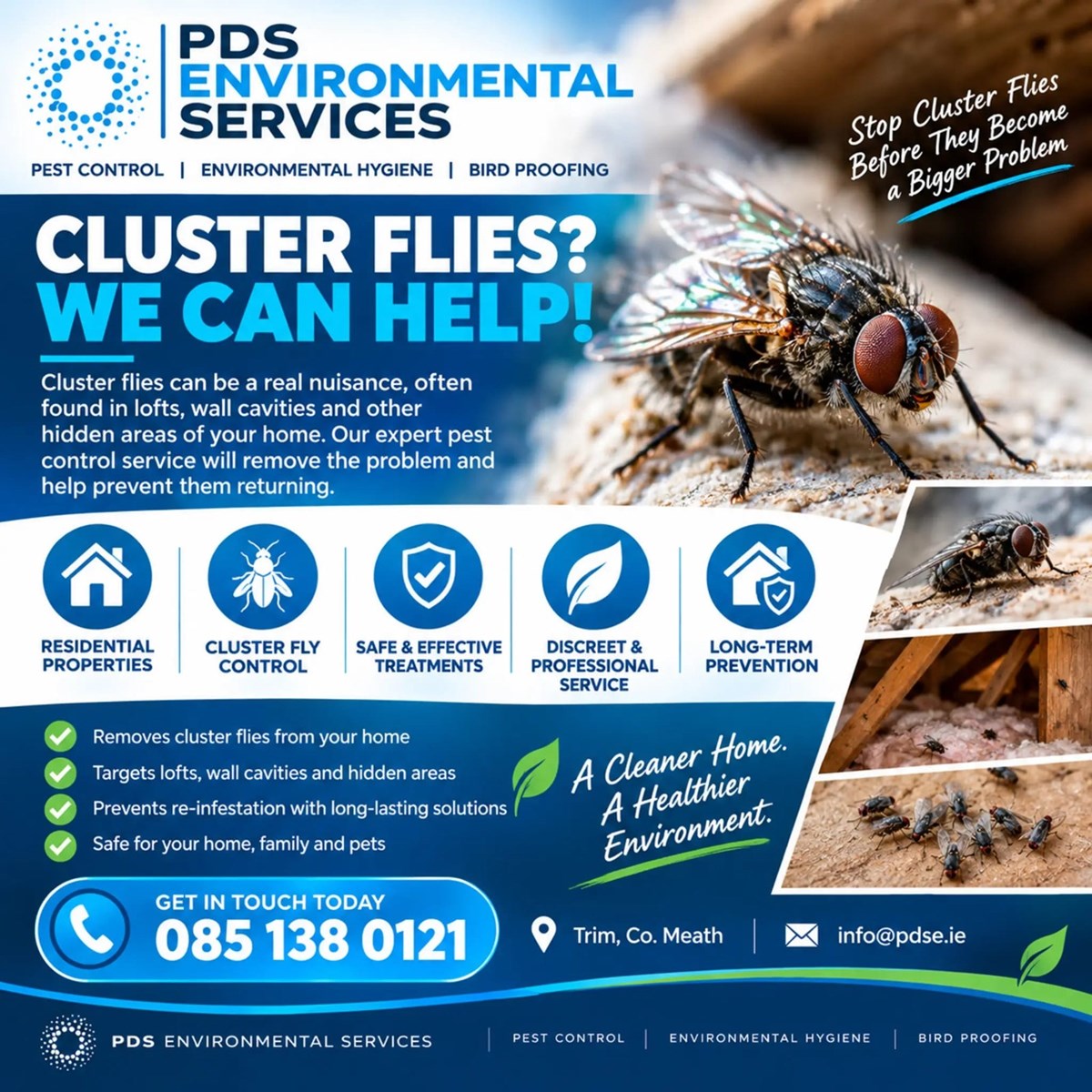 Cluster fly removal in Athboy and Kells