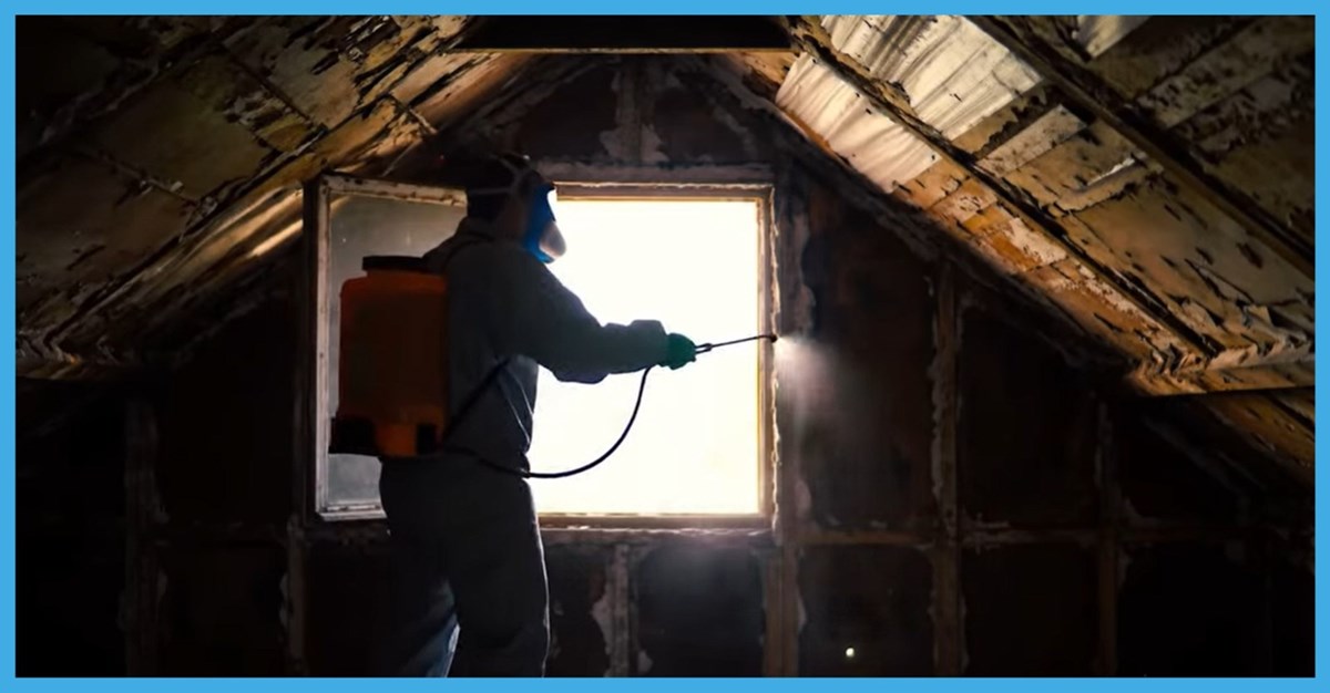 Rodent pest control in Athboy and Kells