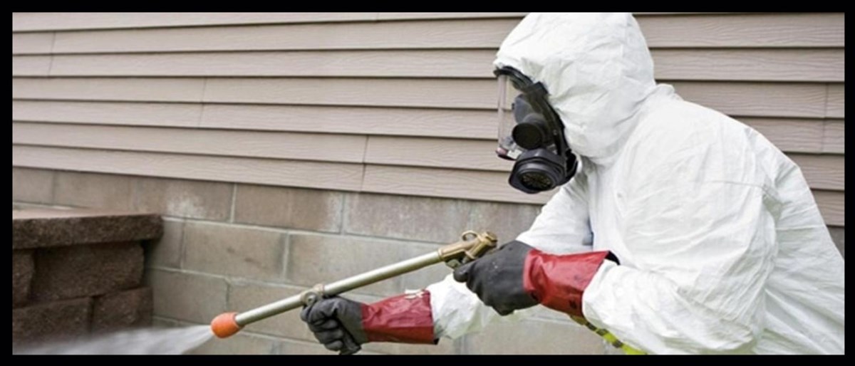 Pest control services in Mullingar, Athlone, and Westmeath - Lakeland Pest Control