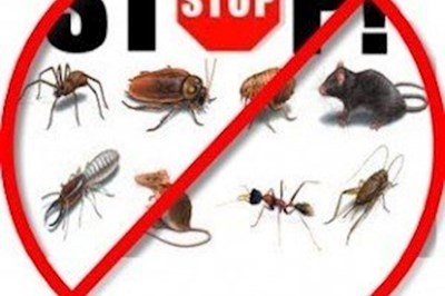 Limerick Pest Control -