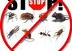 Pest Control Limerick