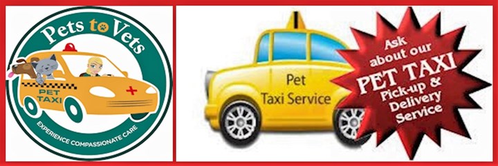 Roseberry Boarding Kennels & Cattery - Pet taxi service Kildare/Leinster
