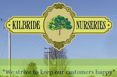 Kilbride Nurseries Wicklow