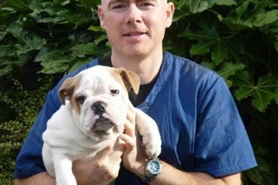 Dog Grooming Dublin 15