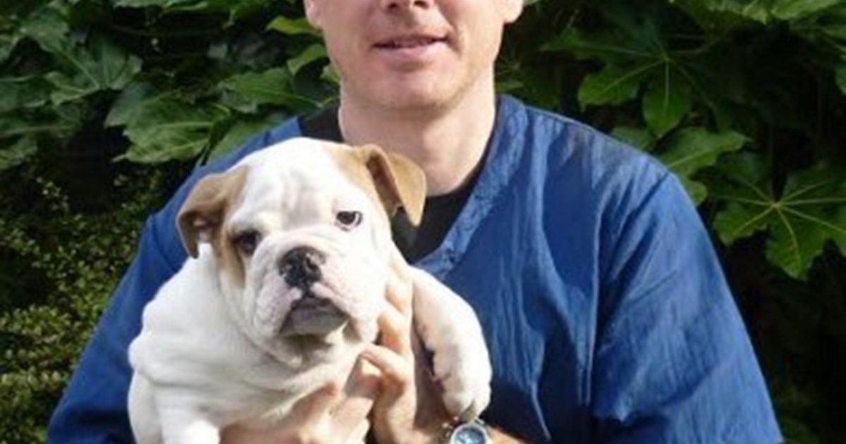 Dog Grooming Dublin 15 Our.ie