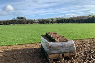 North County Dublin Roll Out Lawns -