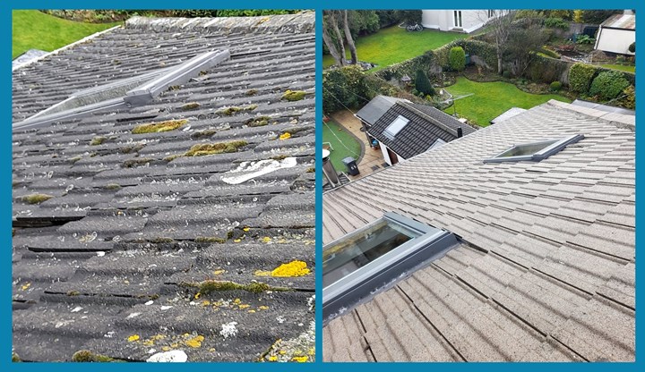 Prestige Cleaning Services - Roof Cleaning Cork - moss removal