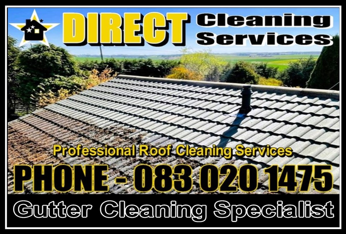 Roof cleaning services in Cork