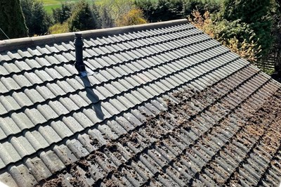 Laois roof cleaning -
