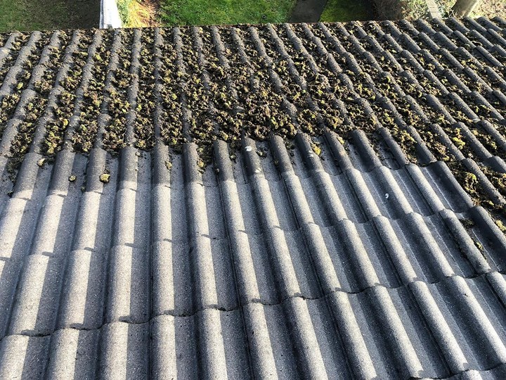 Roof cleaning, Wexford