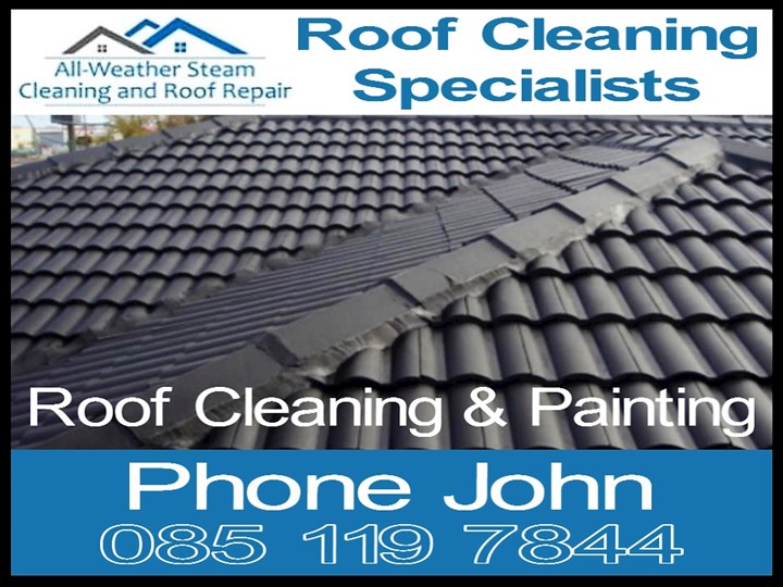 Roof cleaning Kildare Logo