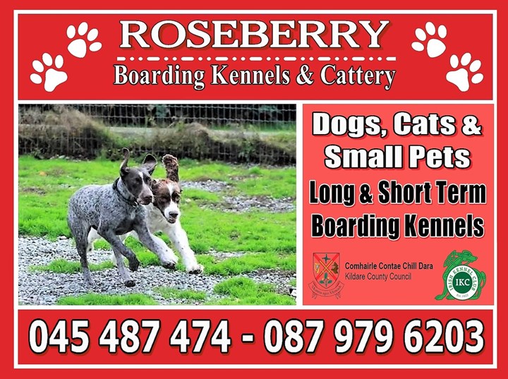 Roseberry Boarding Kennels & Cattery Kildare