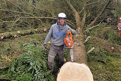 Longford tree surgeons -