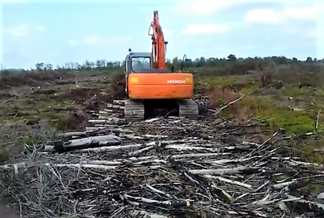 Image of forestry preparation in Longford by Thomas Oates Plant Hire, forest preparation in Longford, Westmeath and Roscommon is provided by Thomas Oates Plant Hire