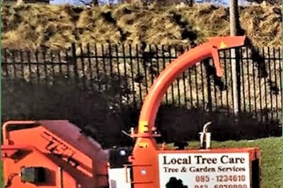 Drogheda tree surgeons -