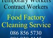 Temporary Workers Meath Louth Dublin