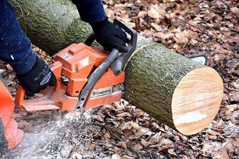 image of tree cutting in Sligo