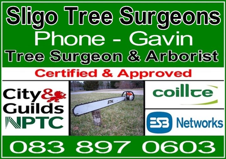 Tree Surgeons Sligo Header image