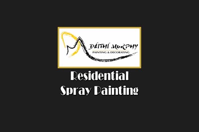 Kildare spray painter -