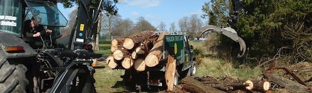 Tree site clearance Lucan & Leixlip