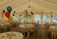 Marquee Hire Swords - North Dublin