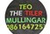 the logo is green white & orange