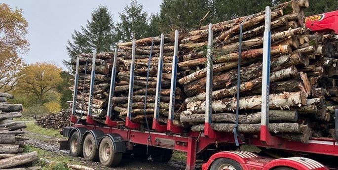 timber trailer load firewood Ireland