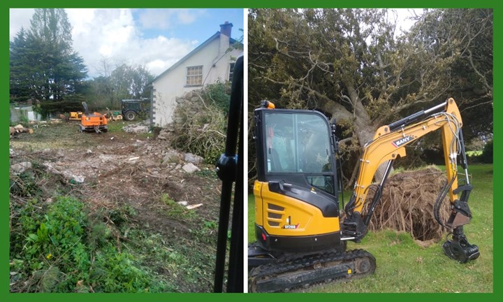 Tree cleared in Meath by Heallion treeforce