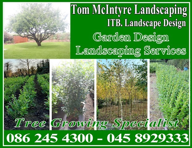 Tom McIntyre Landscaping Header Image