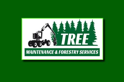 Monaghan, Meath, Cavan ash dieback clearance contractors -