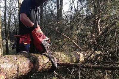 Armagh, Tyrone, Down, Donegal Forestry Services -