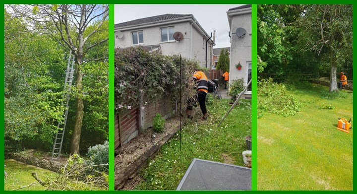 Tree services in Dublin West